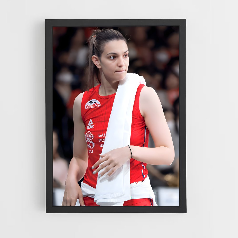 Poster Serbia de national – affiche Volleyball (vue 2)